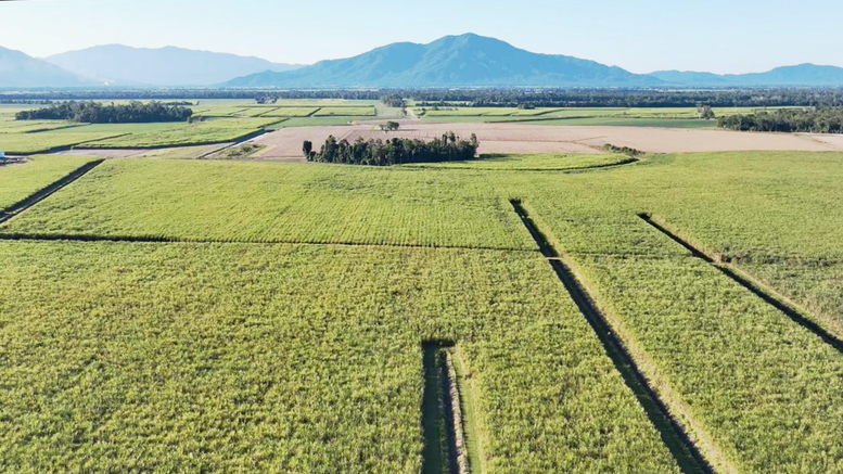 SBT và chính quyền Queensland hợp tác toàn diện trong phát triển nông nghiệp hiện đại, bền vững - Ảnh 3.