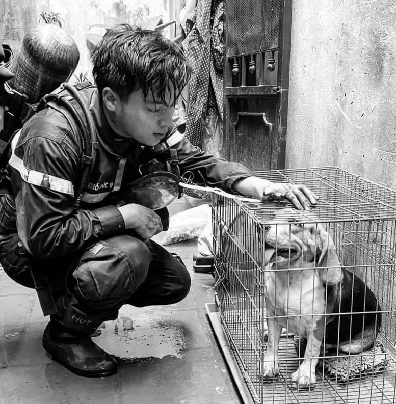 Phía sau những hy sinh là sự sống, danh dự và hạnh phúc - Ảnh 4.