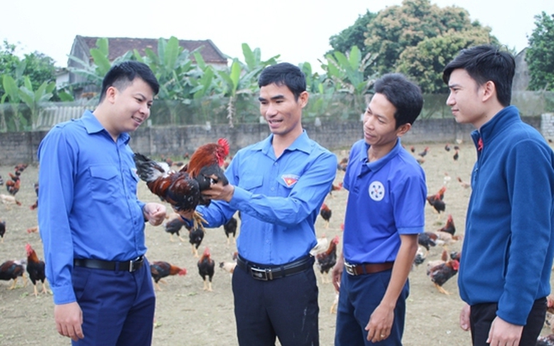 Nâng cao năng lực cạnh tranh khởi nghiệp cho thanh niên nông thôn