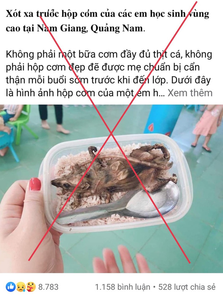 Hộp cơm thịt chuột trong bữa ăn học sinh vùng cao là không chính xác - Ảnh 1.