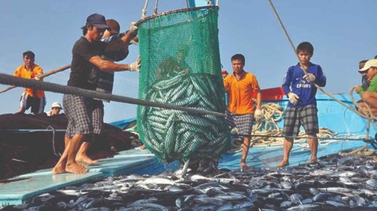 Ngăn chặn, giảm thiểu và loại bỏ khai thác IUU, gỡ cảnh báo “Thẻ vàng” của EC - Ảnh 1.