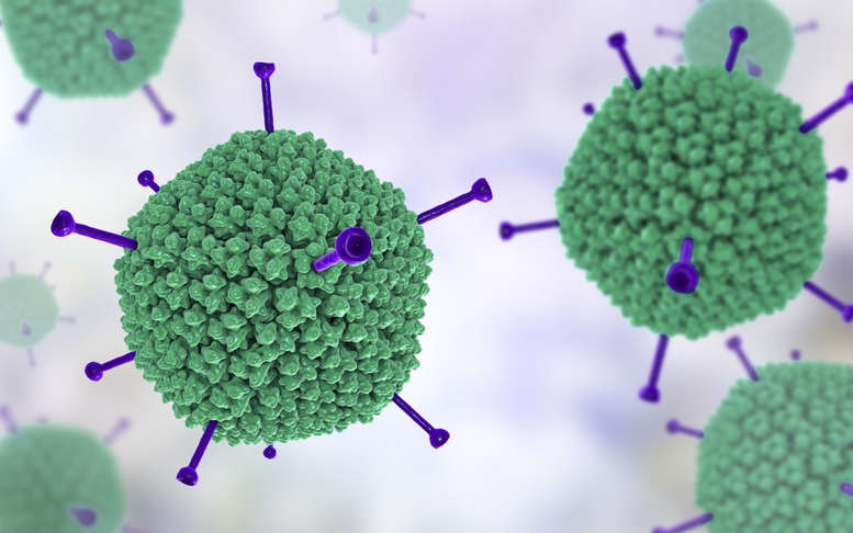 Adenovirus - Cách nhận biết và đề phòng