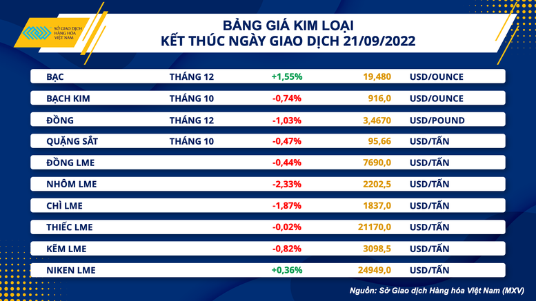 Giá xăng dầu nội địa điều chỉnh phù hợp với xu hướng giá dầu thế giới - Ảnh 2.