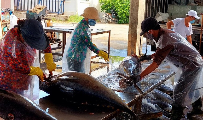 Miền Trung: &quot;mạnh tay&quot; hơn nữa các biện pháp chống khai thác hải sản bất hợp pháp - Ảnh 3.