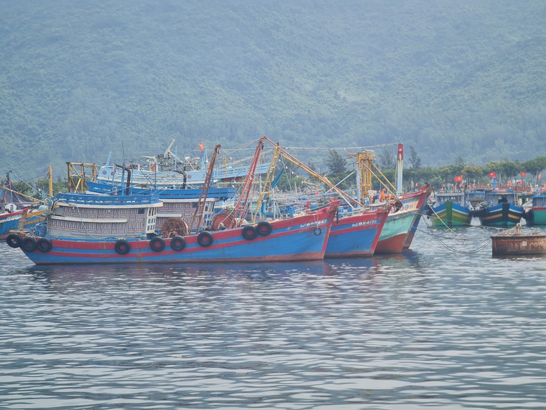 Các địa phương miền Trung chủ động ứng phó với bão Noru - Ảnh 3.