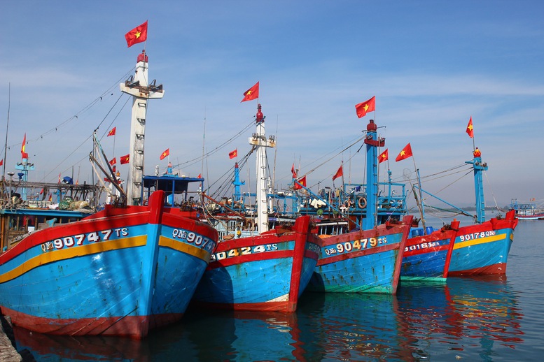 Triệu lá cờ - Ảnh 1.