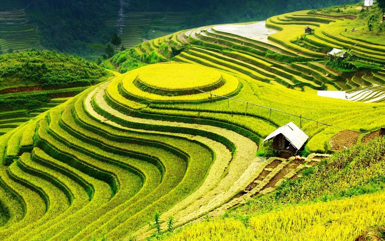 Quy chế hoạt động của Hội đồng điều phối vùng trung du và miền núi phía Bắc