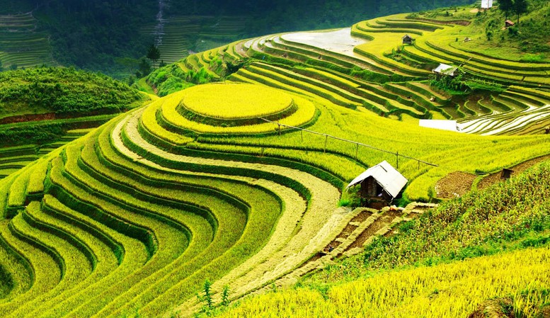 Quy chế hoạt động của Hội đồng điều phối vùng trung du và miền núi phía Bắc - Ảnh 1.
