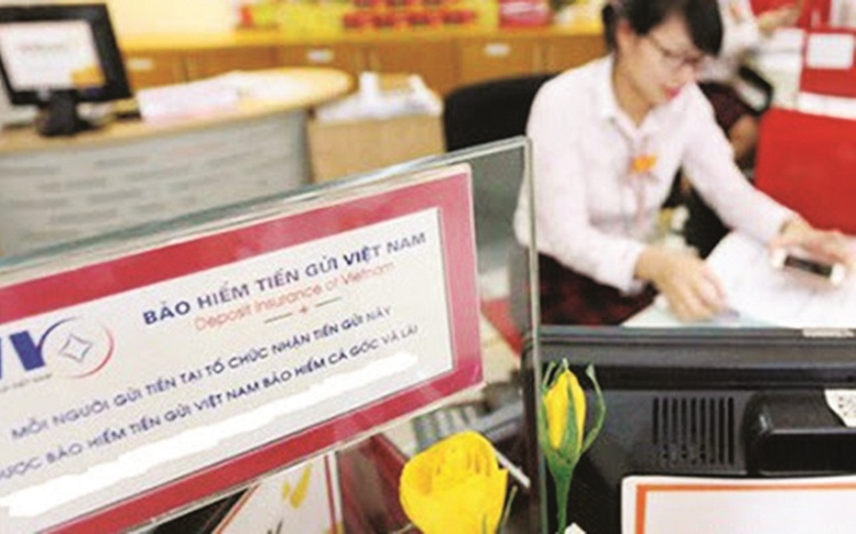 Phê duyệt Chiến lược phát triển bảo hiểm tiền gửi