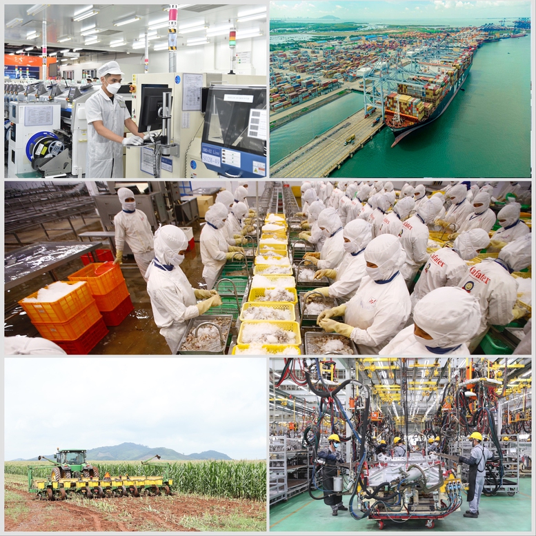 Năm 2022 Chính phủ đã hành động quyết liệt, hiệu quả với quyết tâm cao, nỗ lực lớn, phản ứng chính sách kịp thời - Ảnh 10.