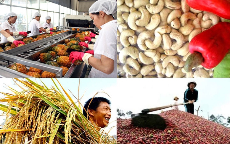 Đẩy mạnh năng suất, chất lượng nông sản Việt trong năm 2023
