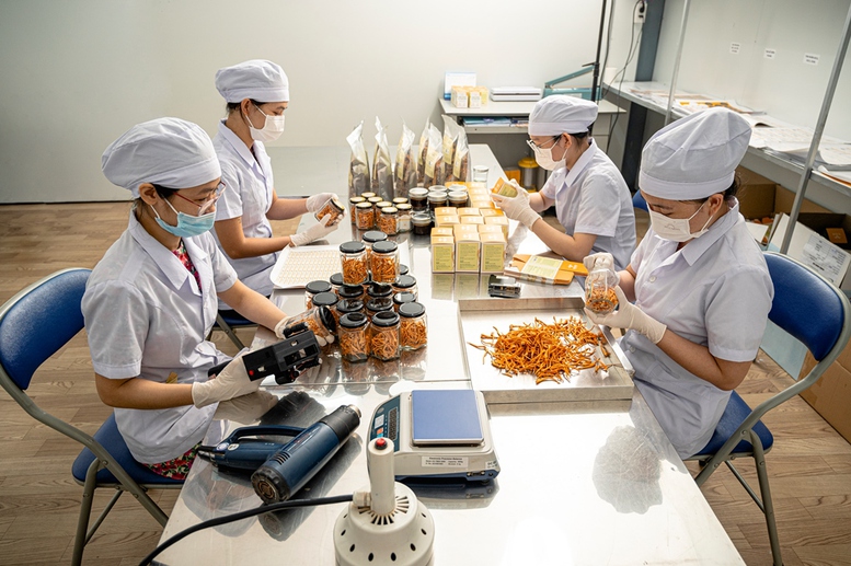 Đà Nẵng: Doanh nghiệp OCOP tăng tốc sản xuất mùa cao điểm Tết nguyên đán - Ảnh 1.