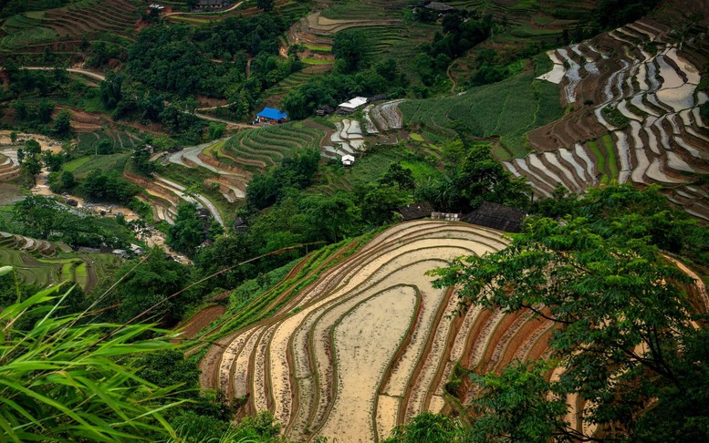 Sản phẩm nông nghiệp được nâng cao giá trị nhờ kết tinh văn hóa