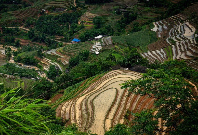 Sản phẩm nông nghiệp được nâng cao giá trị nhờ kết tinh văn hóa - Ảnh 2.