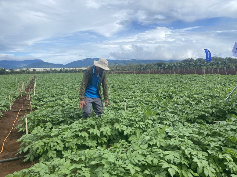 Nông nghiệp với những nỗ lực vượt qua &quot;lời nguyền&quot; - Ảnh 2.