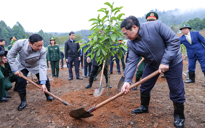 Thủ tướng dâng hương tưởng nhớ Chủ tịch Hồ Chí Minh và phát động Tết trồng cây Xuân Quý Mão