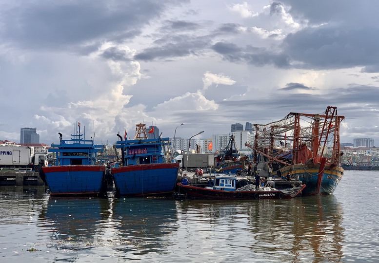 Đà Nẵng: Không có tàu cá đánh bắt trái phép vùng biển nước ngoài - Ảnh 2.