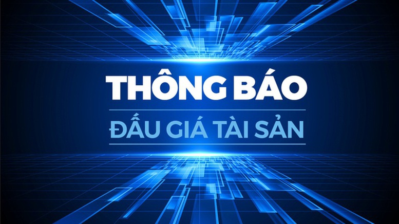 Cục Hành chính – Quản trị II, Văn phòng Chính phủ thông báo tổ chức đấu giá tài sản - Ảnh 1.