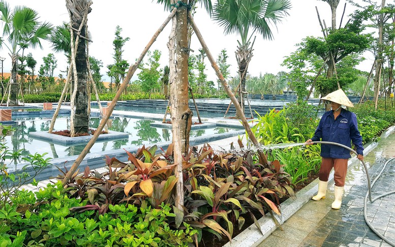 'Mong lãnh đạo TP. Đà Nẵng đặt mình ở vị trí doanh nghiệp để thấu hiểu'