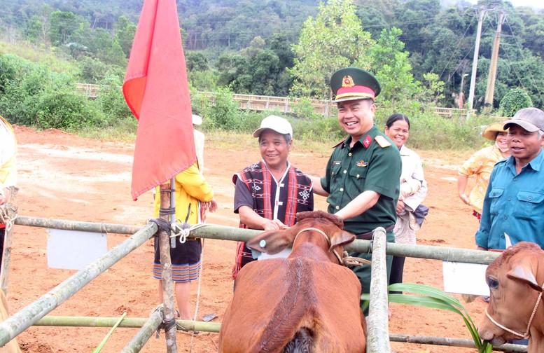 Trao bò giống, cây sâm, cây cam cho bà con biên giới Quảng Nam - Ảnh 1.