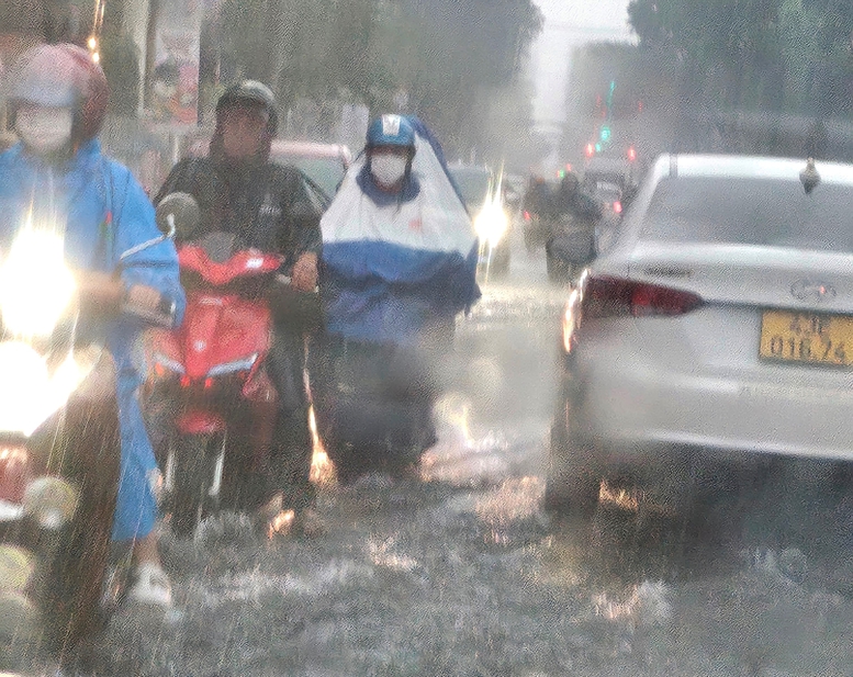 Đà Nẵng khẩn trương ứng phó với mưa lớn, ngập lụt; cho học sinh nghỉ học - Ảnh 3.