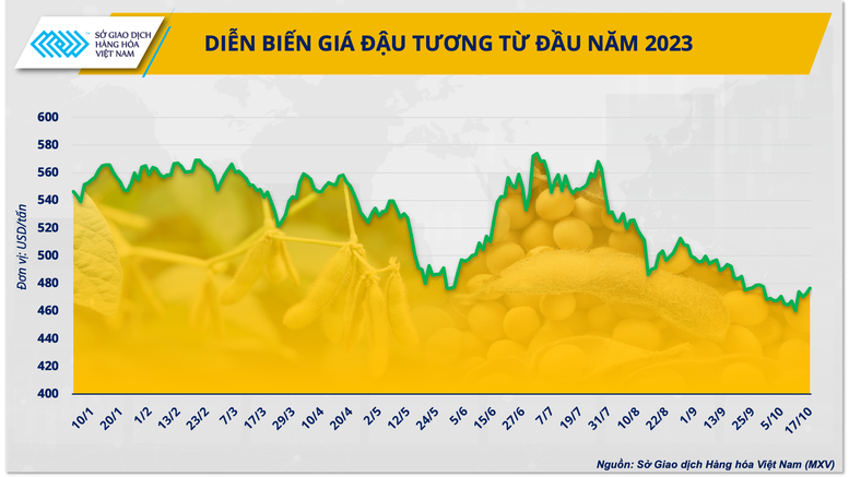 Doanh nghiệp chăn nuôi cần làm gì khi nguồn cung đậu tương từ Mỹ bị thu hẹp? - Ảnh 1.