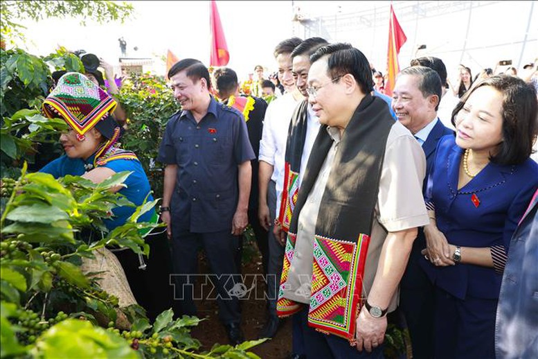 Chủ tịch Quốc hội thăm vùng trồng và dự Lễ khánh thành Nhà máy chế biến cà phê Sơn La - Ảnh 2.