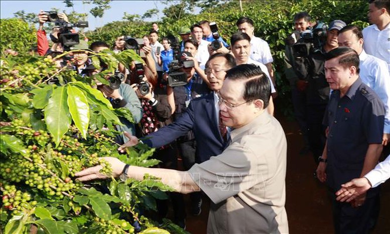 Chủ tịch Quốc hội thăm vùng trồng và dự Lễ khánh thành Nhà máy chế biến cà phê Sơn La - Ảnh 1.