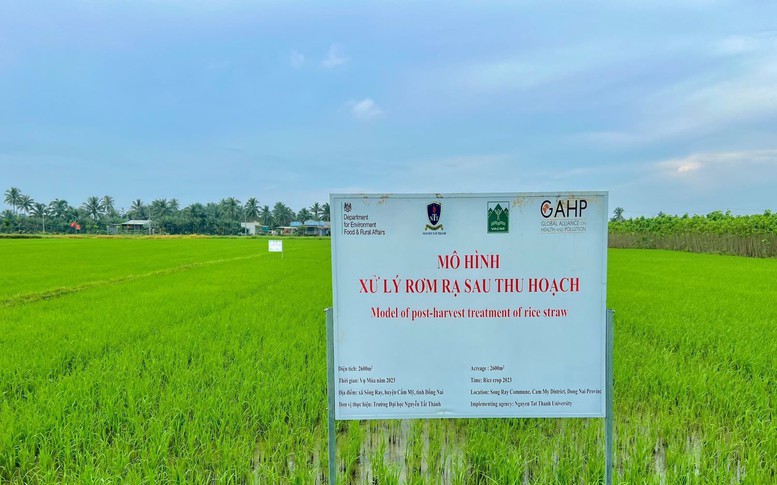 Phát triển chế phẩm vi sinh xử lý rơm rạ sau thu hoạch tại đồng ruộng