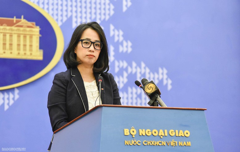 Bộ Ngoại giao tích cực triển khai công tác bảo hộ công dân - Ảnh 1.