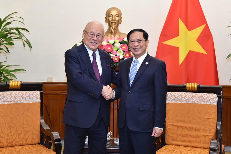 Bộ trưởng Bùi Thanh Sơn tiếp Cố vấn Liên minh nghị sĩ hữu nghị Nhật-Việt - Ảnh 1.