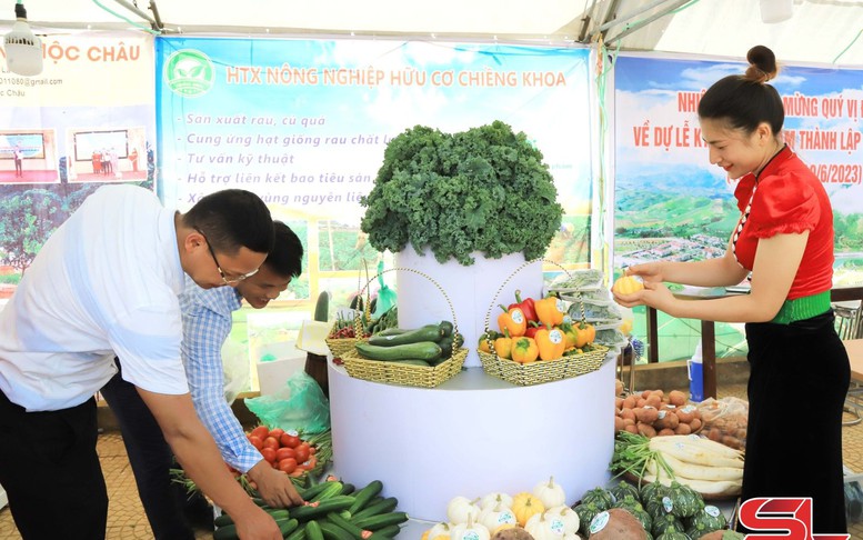 Vân Hồ nâng tầm sản phẩm đặc sản địa phương và trải nghiệm du lịch nông nghiệp