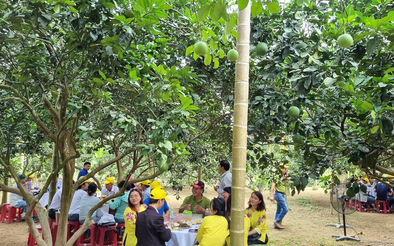 Quảng Ngãi: Khá giả nhờ các mô hình du lịch nông nghiệp