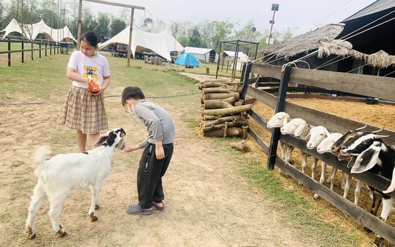 Tiềm năng du lịch nông thôn, du lịch cộng đồng của Việt Nam rất lớn