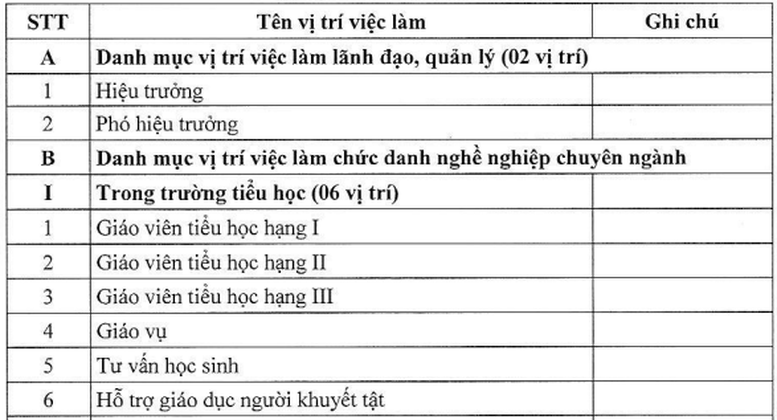 Hướng dẫn mới về vị trí việc làm và định mức giáo viên   tiểu học- Ảnh 2.