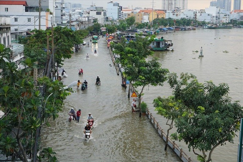 Chuyện chống ngập do triều cường  - Ảnh 3.