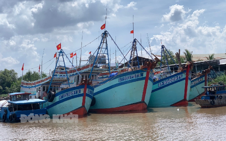 Bến Tre: Ưu tiên phát triển các ngành kinh tế biển thân thiện môi trường