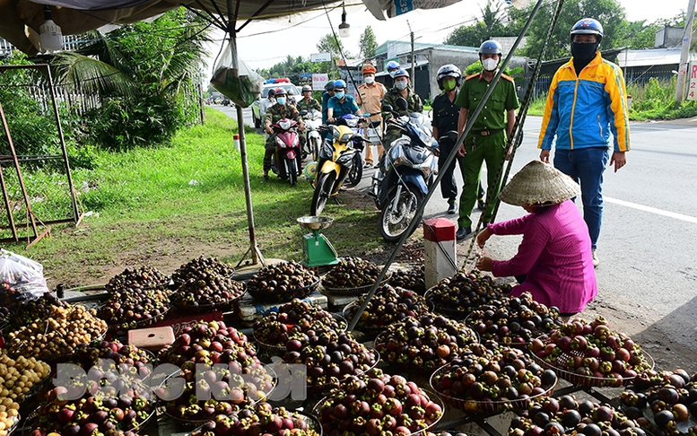 Bến Tre triển khai cao điểm lập lại trật tự an toàn giao thông