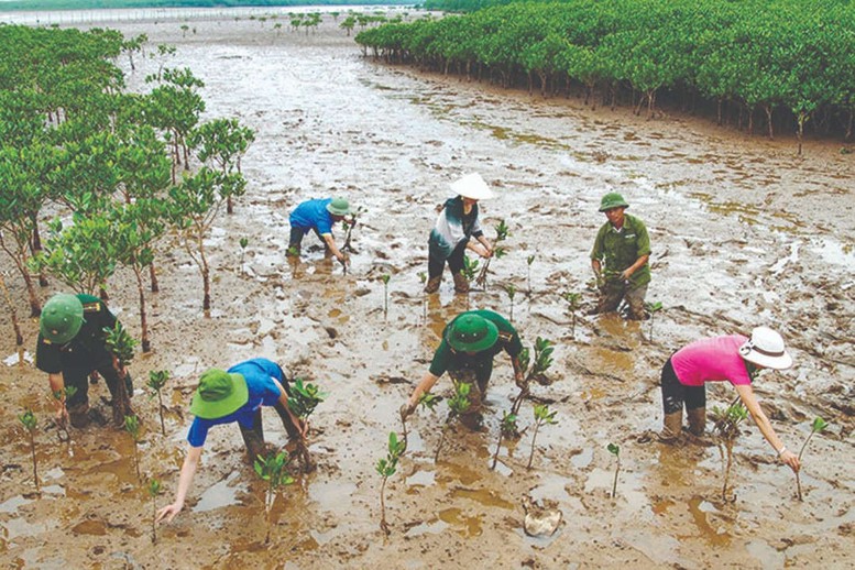 COP28: Ứng phó với biến đổi khí hậu phải thực hiện trên nguyên tắc công bằng- Ảnh 1.