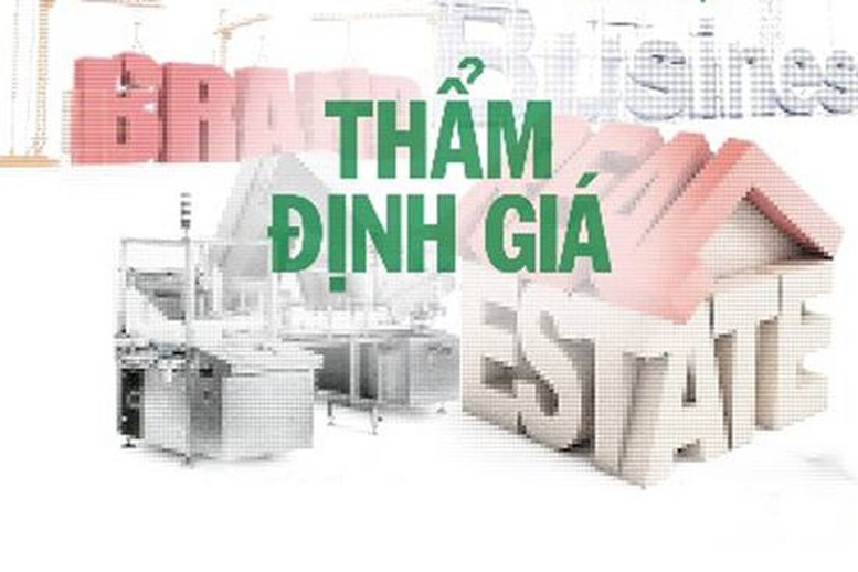 Công khai danh sách doanh nghiệp thẩm định giá bị đình chỉ hoạt động- Ảnh 1.