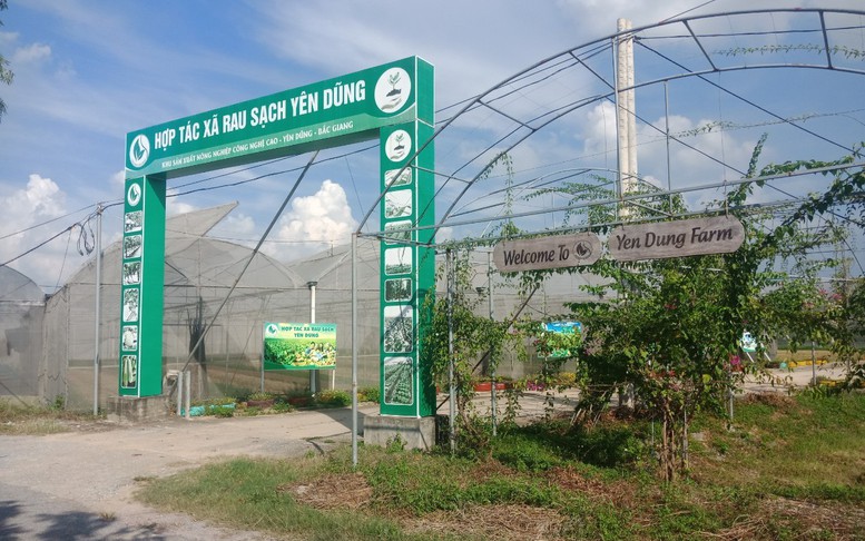 Yên Dũng: Đẩy mạnh hoàn thành các tiêu chí nông thôn mới kiểu mẫu