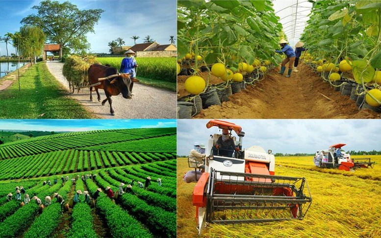 Hoàn thiện khung khổ pháp lý về đăng ký tổ hợp tác, hợp tác xã