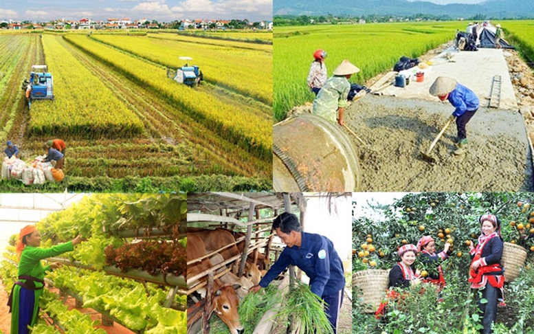 Xây dựng chính sách đặc thù để tháo gỡ khó khăn, đẩy nhanh tiến độ thực hiện các Chương trình mục tiêu quốc gia
