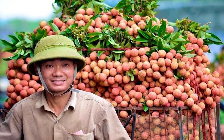 Hiểu thị trường Trung Quốc để xuất khẩu bền vững