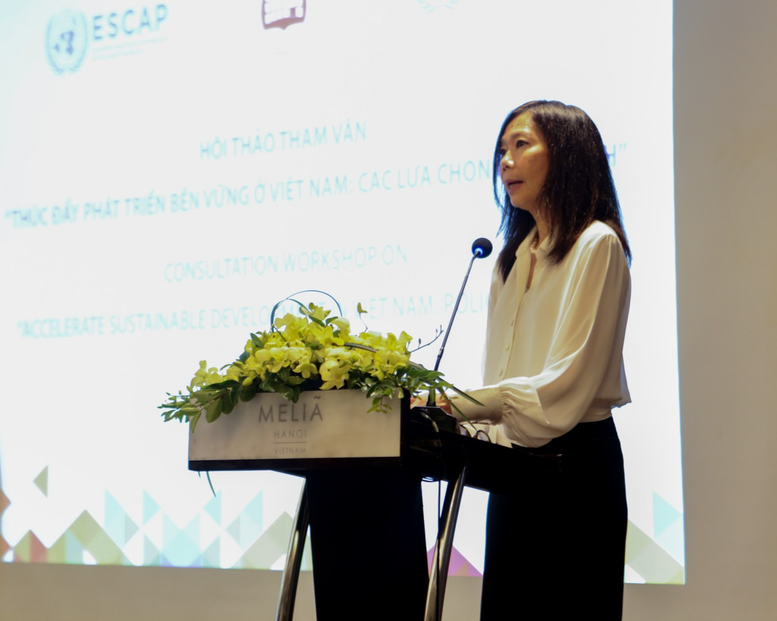 Hội thảo tham vấn thúc đẩy phát triển bền vững ở Việt Nam- Ảnh 1.