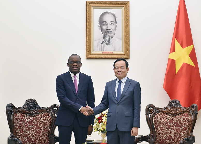 Phó Thủ tướng Trần Lưu Quang 'xe duyên' cho hợp tác nông nghiệp Việt Nam-Benin- Ảnh 1.