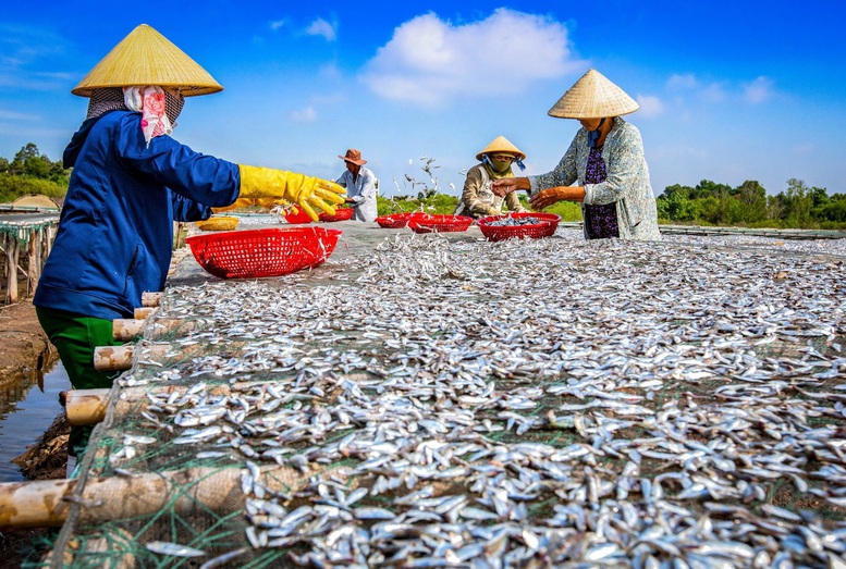 Bà Rịa - Vũng Tàu hỗ trợ hộ nghèo tối đa 20 triệu đồng phát triển sản xuất- Ảnh 1.