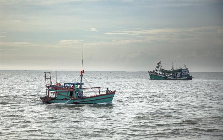 Mở đợt cao điểm về chống khai thác hải sản bất hợp pháp, không báo cáo và không theo quy định