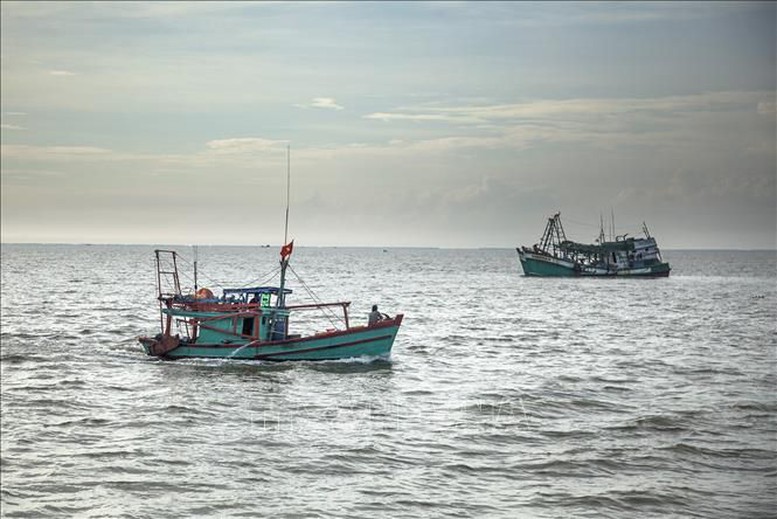 Mở đợt cao điểm về chống khai thác hải sản bất hợp pháp, không báo cáo và không theo quy định- Ảnh 1.