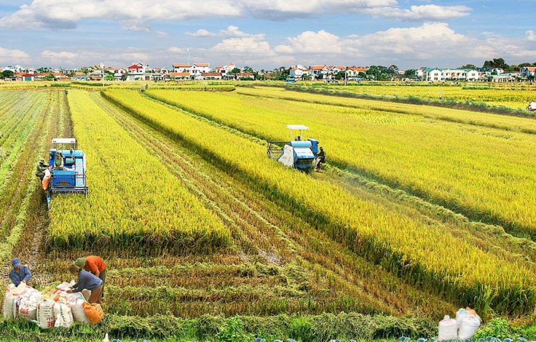 Thái Bình hướng tới trở thành trung tâm sản xuất nông nghiệp hàng đầu Vùng đồng bằng sông Hồng- Ảnh 1.